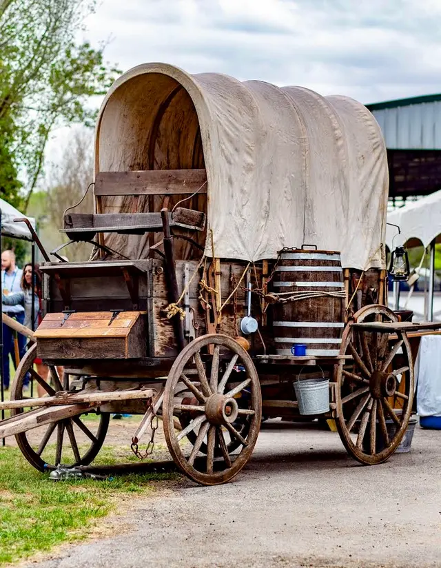 Lone Star Ranch — photo from the business 3