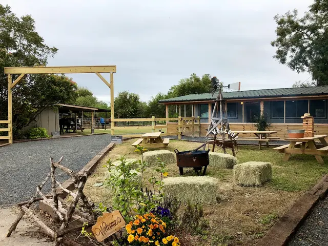 Lone Star Ranch — photo from the business 2