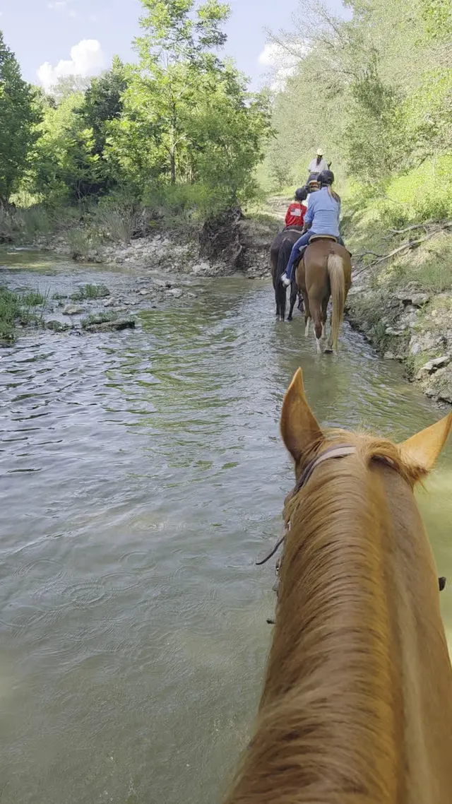 Lone Star Ranch — customer photo 12