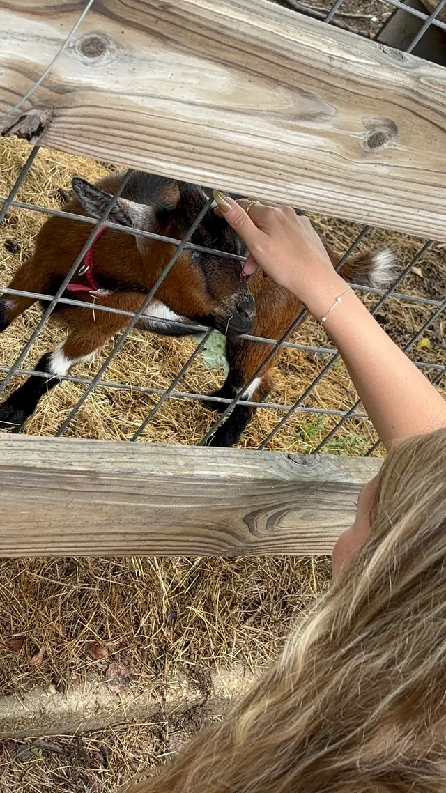 Lone Star Ranch — customer photo 9
