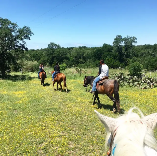Southern Trails — photo from the business 3
