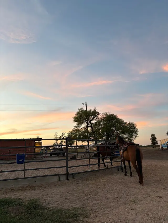 Rafter77 Arena — customer photo 8