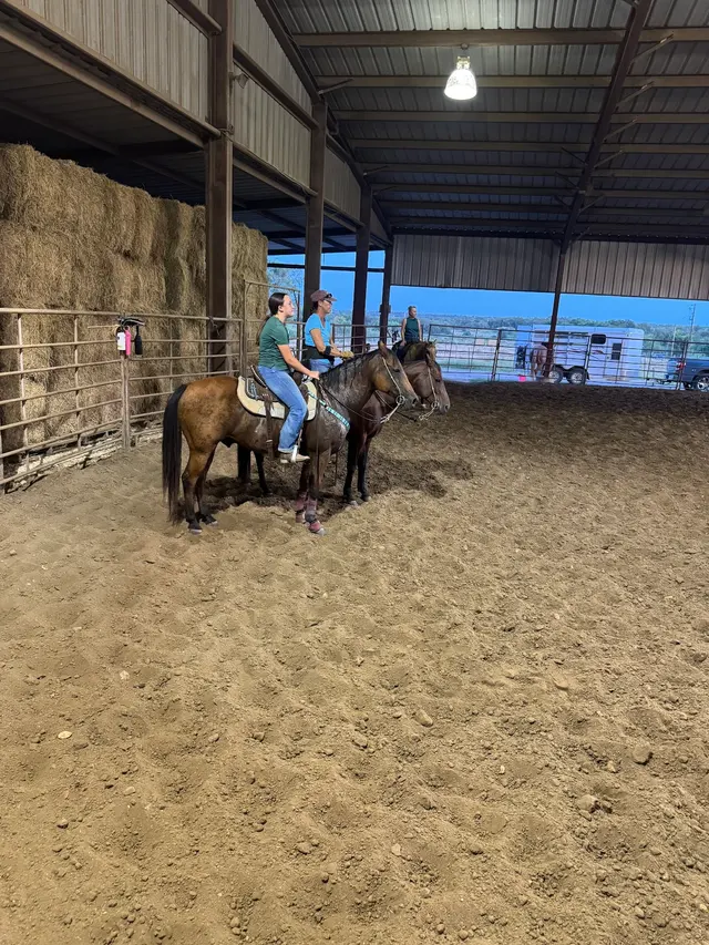 Rafter77 Arena — customer photo 2