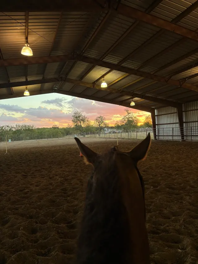 Rafter77 Arena — customer photo 10