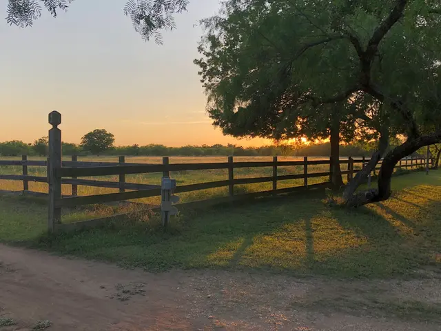 Happy Horse Hotel — customer photo 2