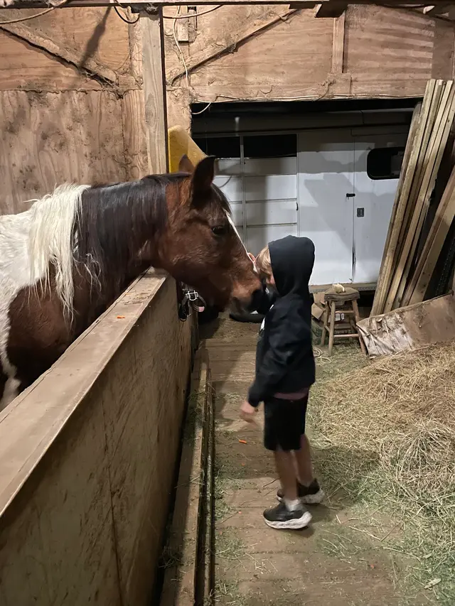 Happy Horse Hotel — customer photo 7