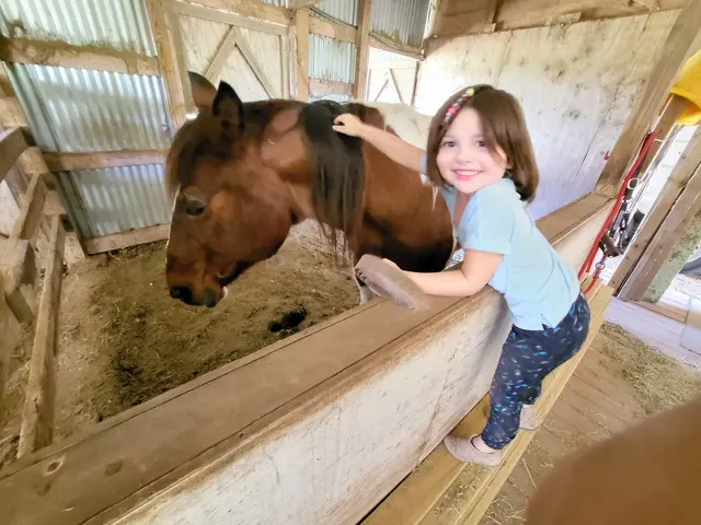 Happy Horse Hotel — customer photo 12