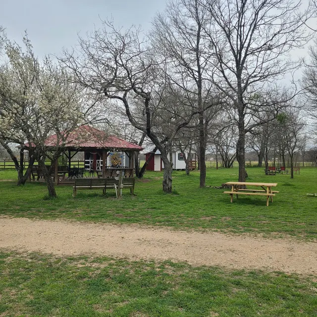Customer photo of work by Happy Horse Hotel, from Scott Lepore's review