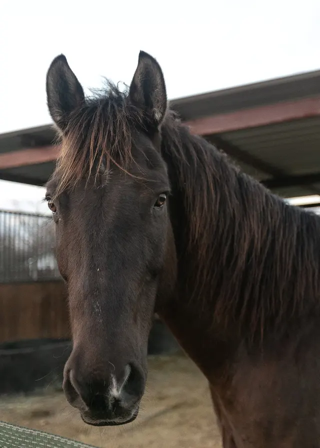 SunCrest Farm — customer photo 4