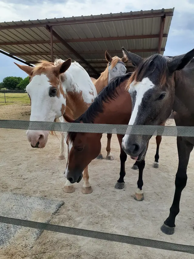 SunCrest Farm — customer photo 7