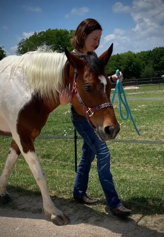 SunCrest Farm — customer photo 10
