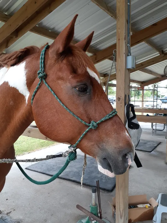 SunCrest Farm — customer photo 6