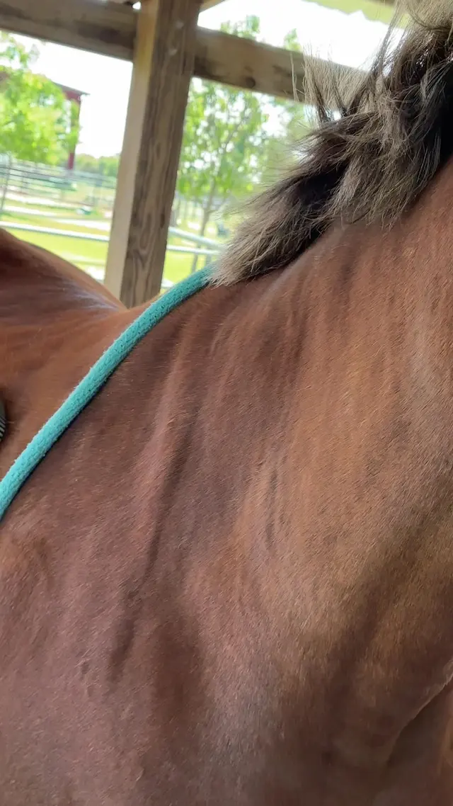 Customer photo of work by SunCrest Farm, from Valeri Rogol's review