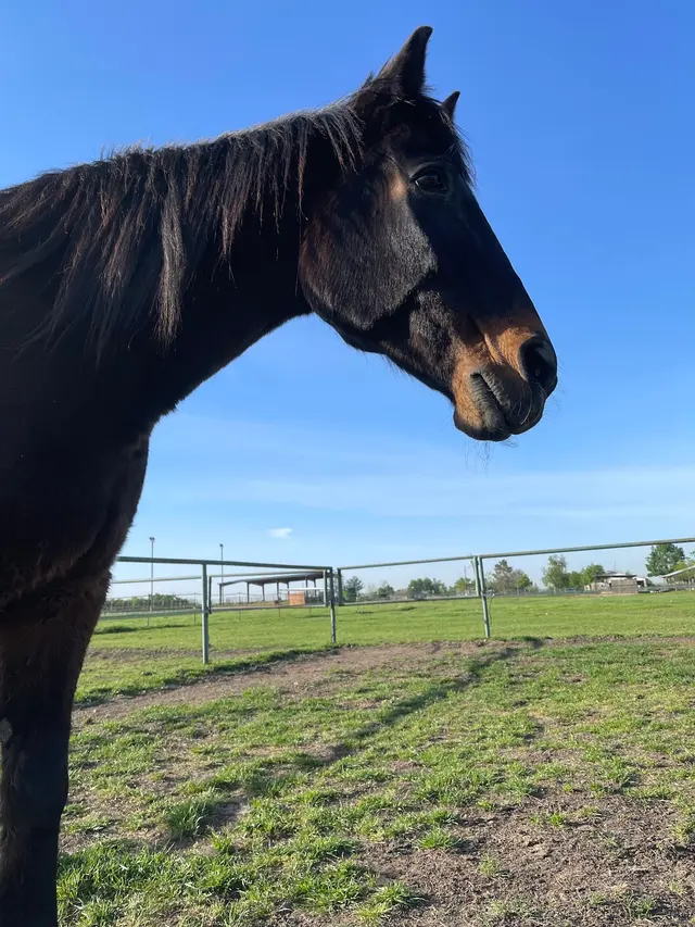 SunCrest Farm — customer photo 12