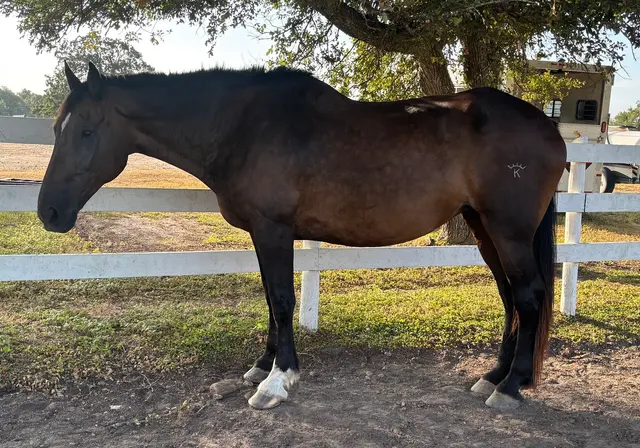 White Fences Equestrian Center — customer photo 2