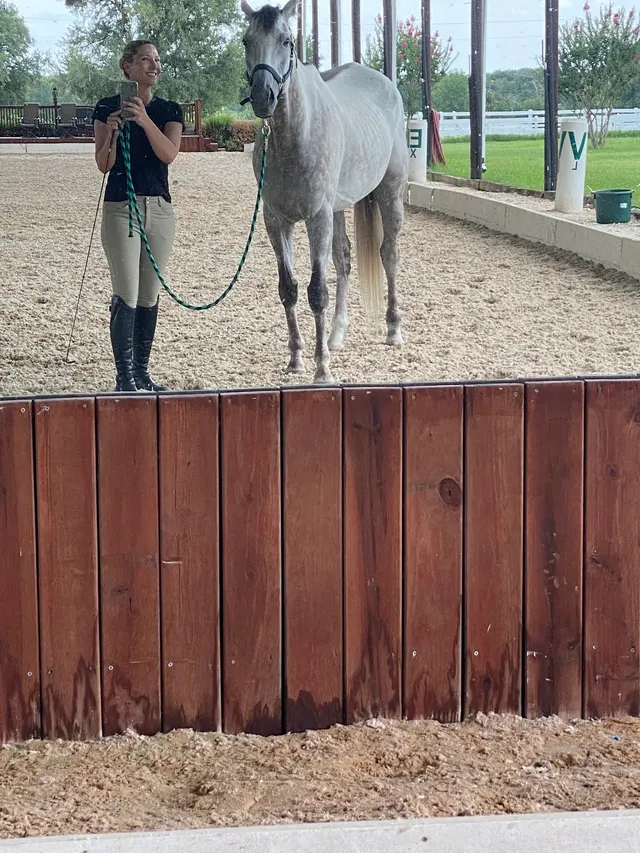 White Fences Equestrian Center — customer photo 11