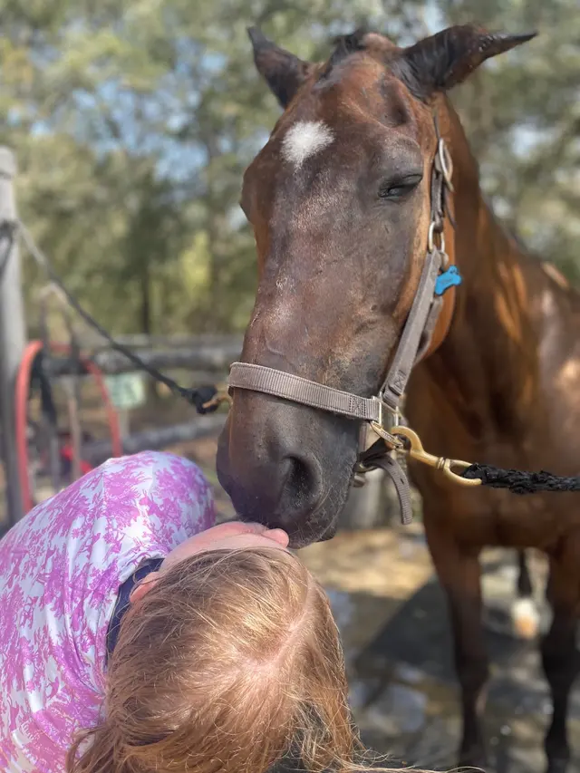 White Fences Equestrian Center — customer photo 8