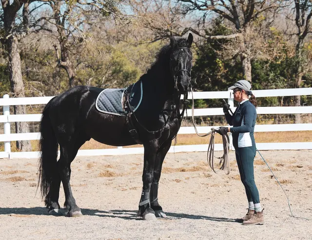 White Fences Equestrian Center — photo from the business 9