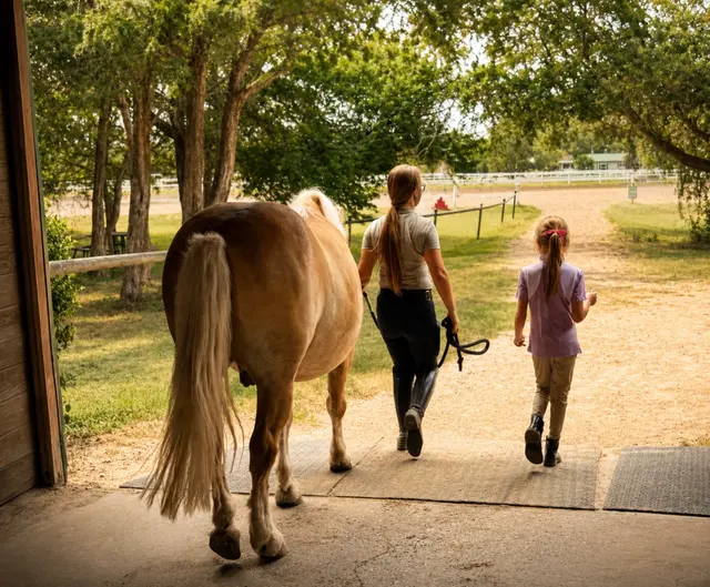 Customer photo of work by White Fences Equestrian Center, from Brooke Peterson's review