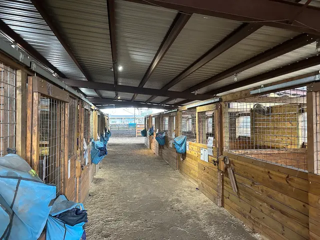 Healing with Horses Ranch — customer photo 6