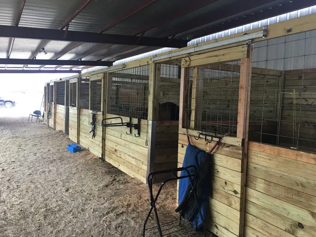 Healing with Horses Ranch — customer photo 12