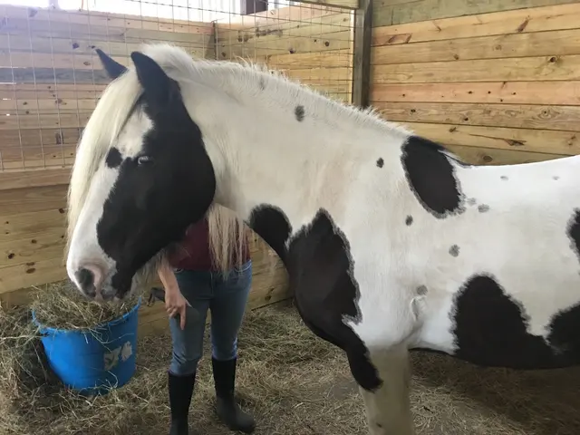 Healing with Horses Ranch — customer photo 8