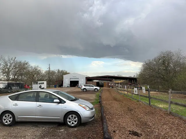Healing with Horses Ranch — customer photo 10