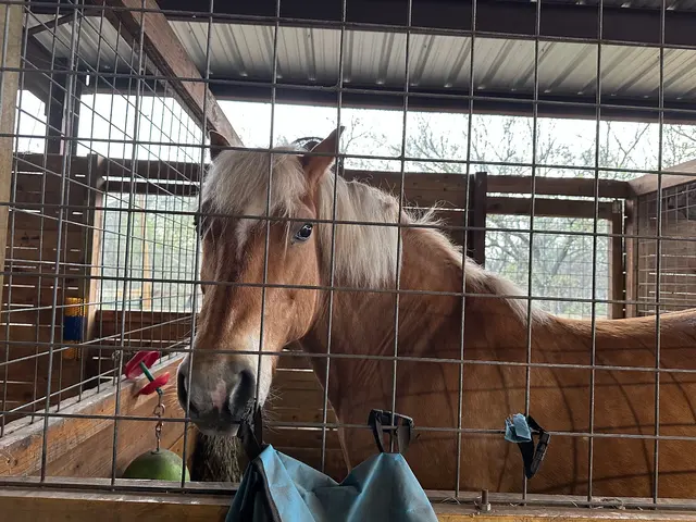 Healing with Horses Ranch — customer photo 9