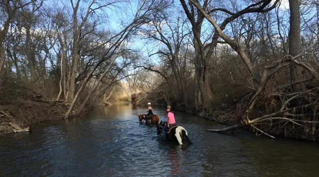 Willow Horseback Riding of Austin — photo from the business 7