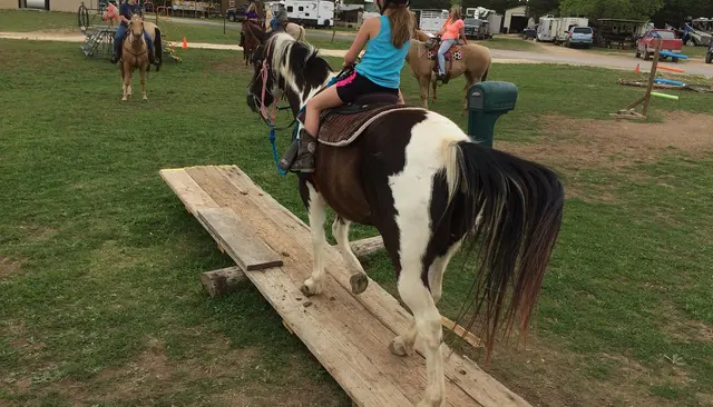 Willow Horseback Riding of Austin — photo from the business 11
