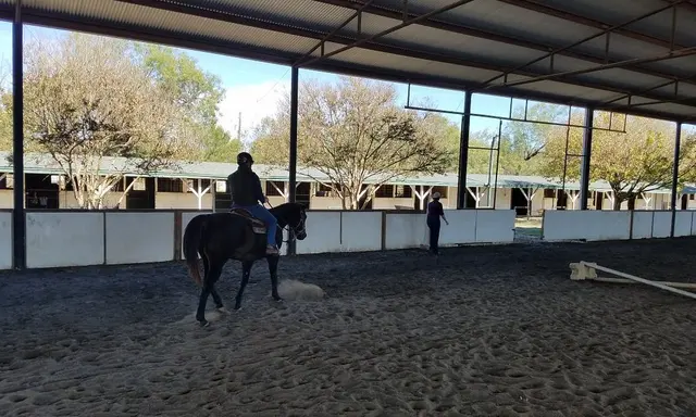 Willow Horseback Riding of Austin — photo from the business 6