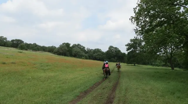 Willow Horseback Riding of Austin — photo from the business 8