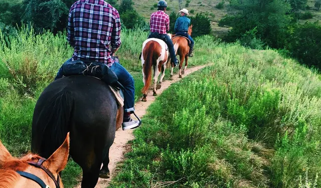Willow Horseback Riding of Austin — photo from the business 12