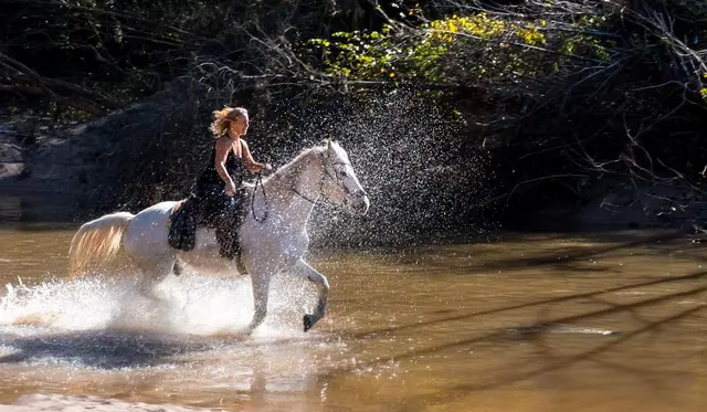 Willow Horseback Riding of Austin — photo from the business 3