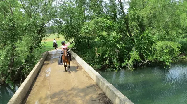 Willow Horseback Riding of Austin — photo from the business 5