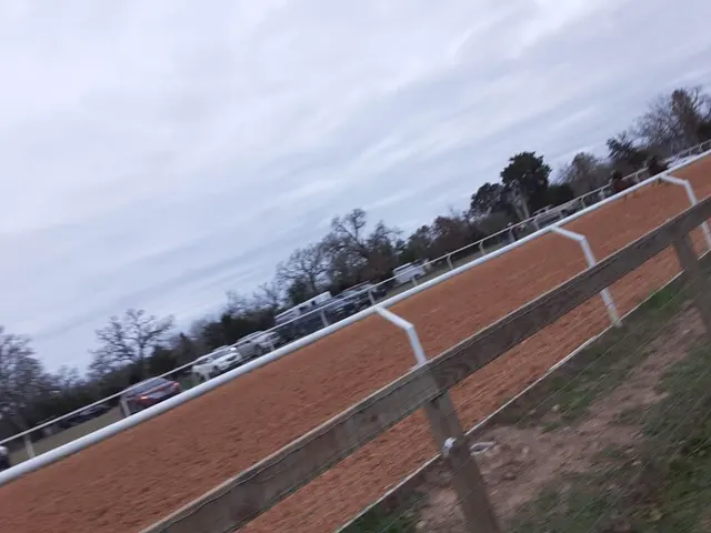 Horse Racing Track — customer photo 5
