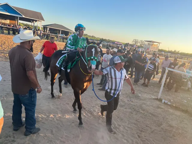 Horse Racing Track — customer photo 4
