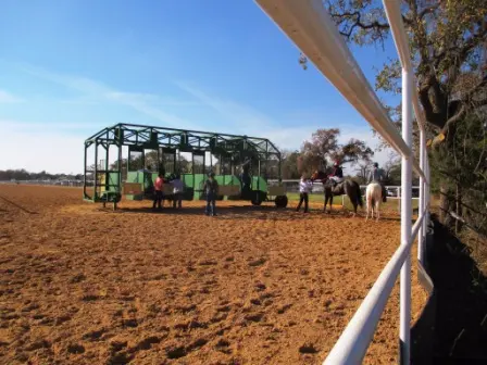 Horse Racing Track — customer photo 3