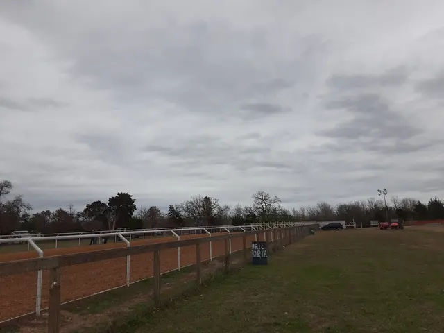 Horse Racing Track — customer photo 10