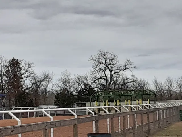 Horse Racing Track — customer photo 7