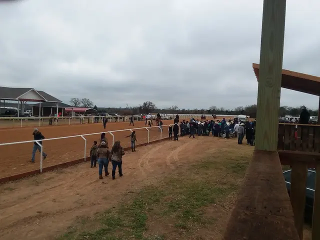 Horse Racing Track — customer photo 1