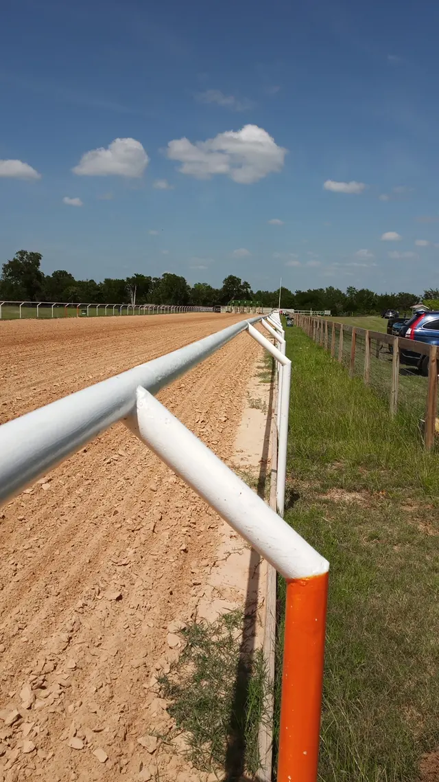 Horse Racing Track — customer photo 6
