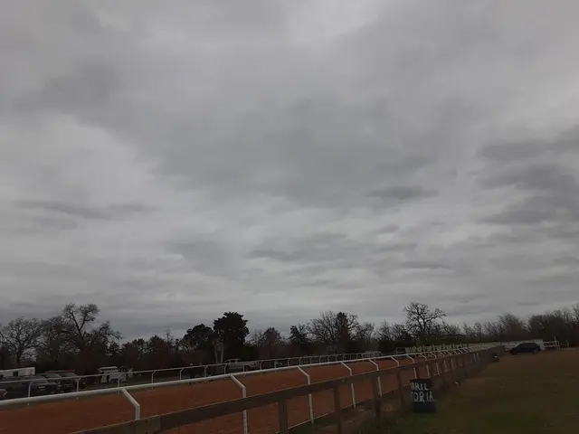 Horse Racing Track — customer photo 9