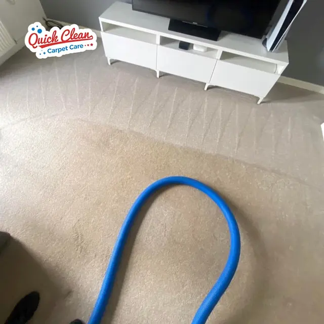 Quick Clean Carpet Care — photo from the business 3