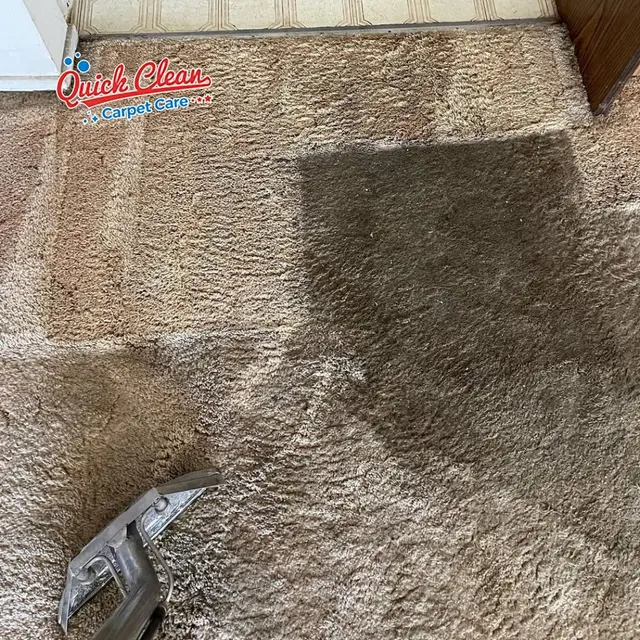 Quick Clean Carpet Care — photo from the business 6