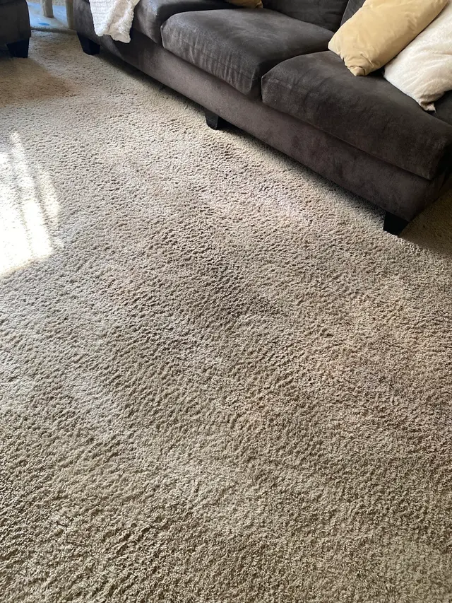 Customer photo of work by JP Carpet Cleaning Expert Floor Care, from Kim Russo's review