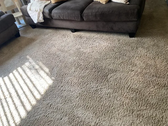 Customer photo of work by JP Carpet Cleaning Expert Floor Care, from Kim Russo's review