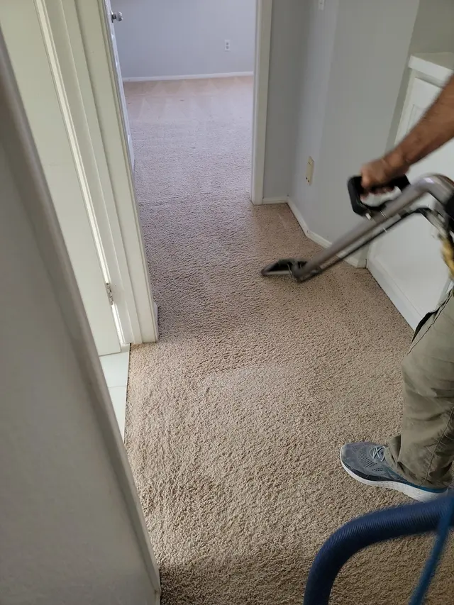 JP Carpet Cleaning Expert Floor Care — photo from the business 2