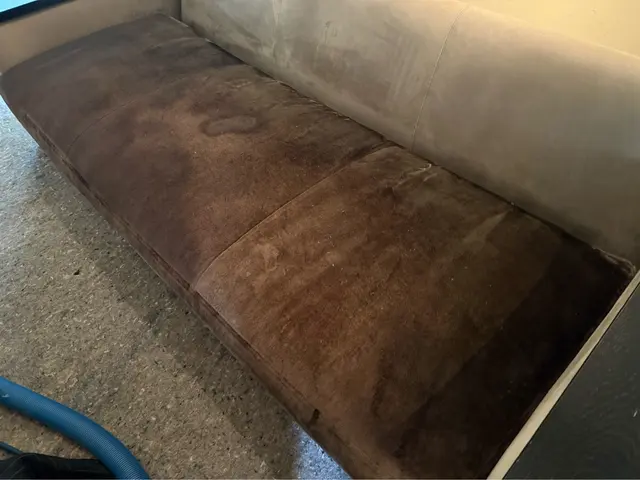 Customer photo from Baron's review