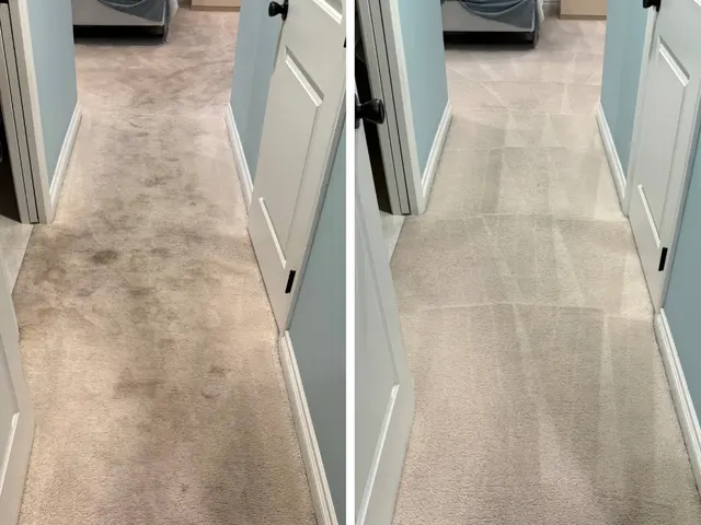 Los Angeles Carpet Cleaning — photo from the business 12